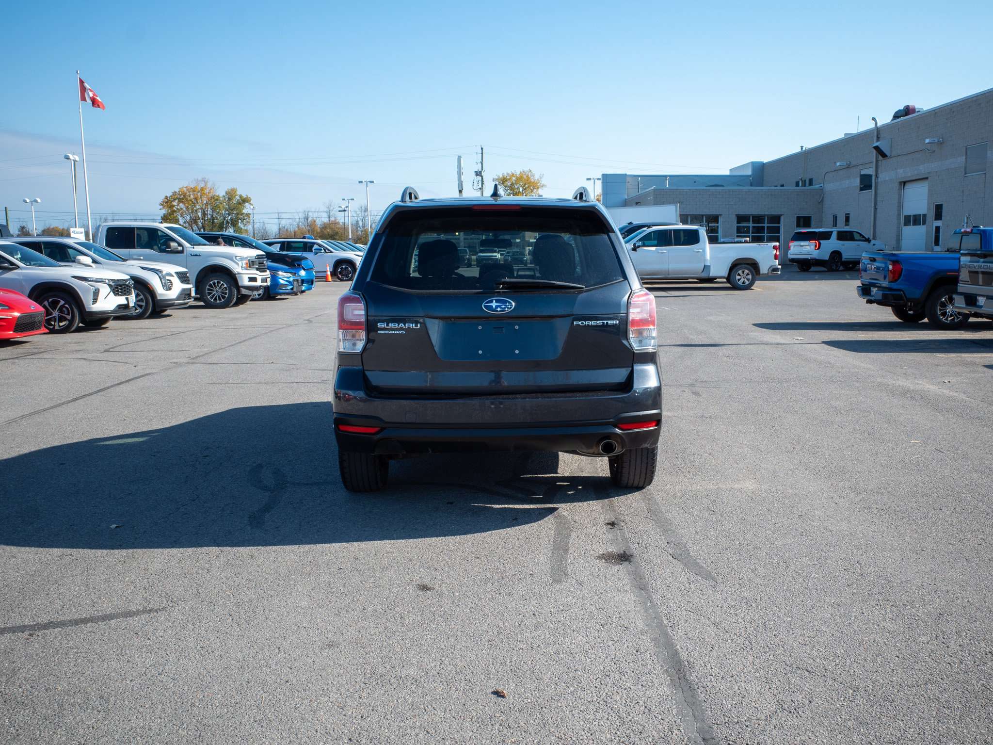 Image 6