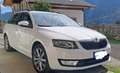 Skoda Octavia Octavia III 2014Wagon 1.6tdi cr Executive 105cv Bianco - thumbnail 1
