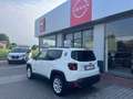 Jeep Renegade 1.0 T3 Limited Bianco - thumbnail 4