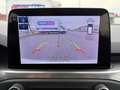 Ford Focus Focus Turnier 1.0 EcoBoost Hybrid TITANIUM Silber - thumbnail 13