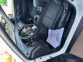 Nissan X-Trail 1.7 dCi Acenta 4x4-i Wit - thumbnail 13