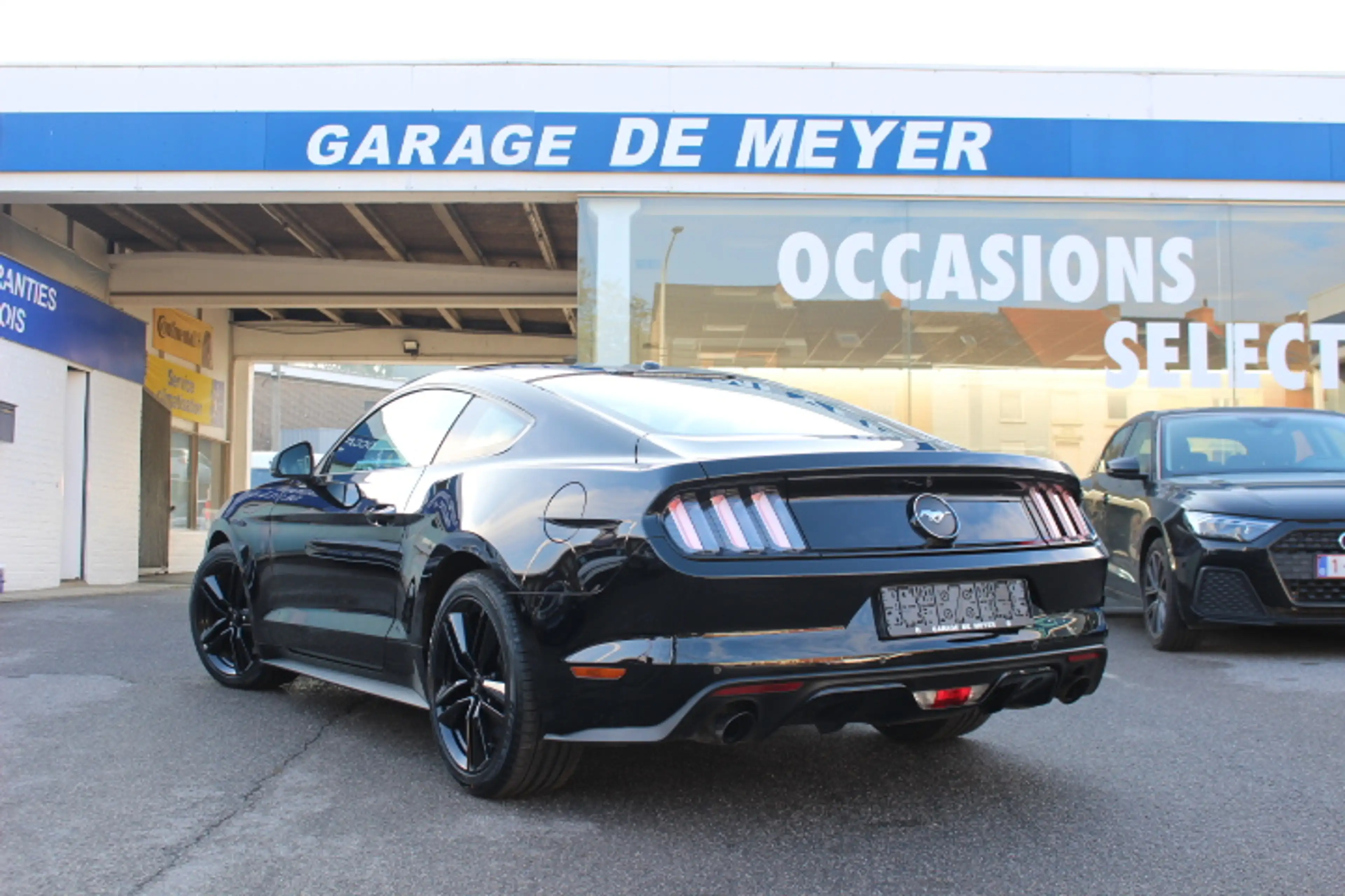 Ford Mustang Mustang 2.3 EcoBoost — photo 3