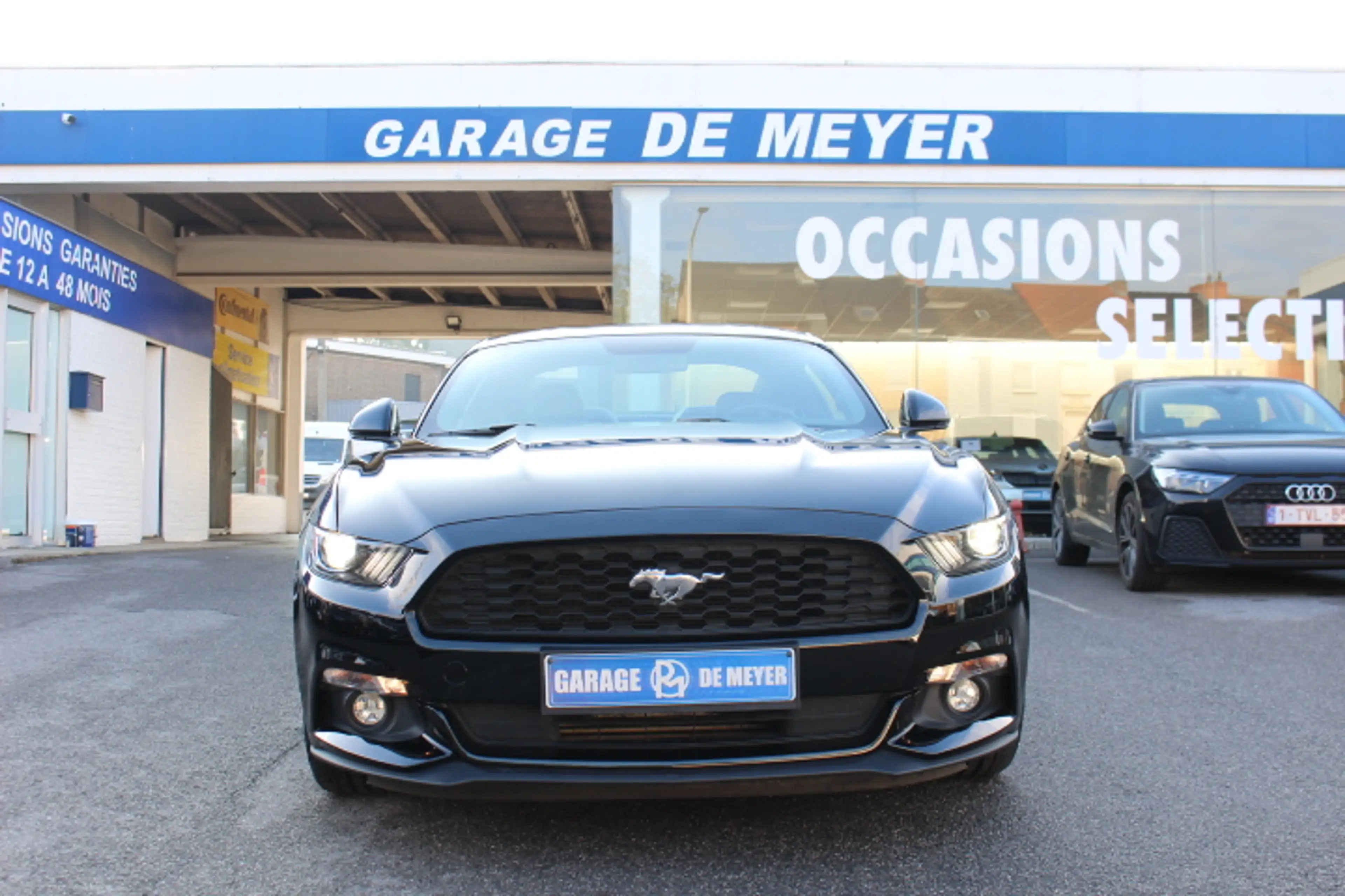 Ford Mustang Mustang 2.3 EcoBoost — photo 2