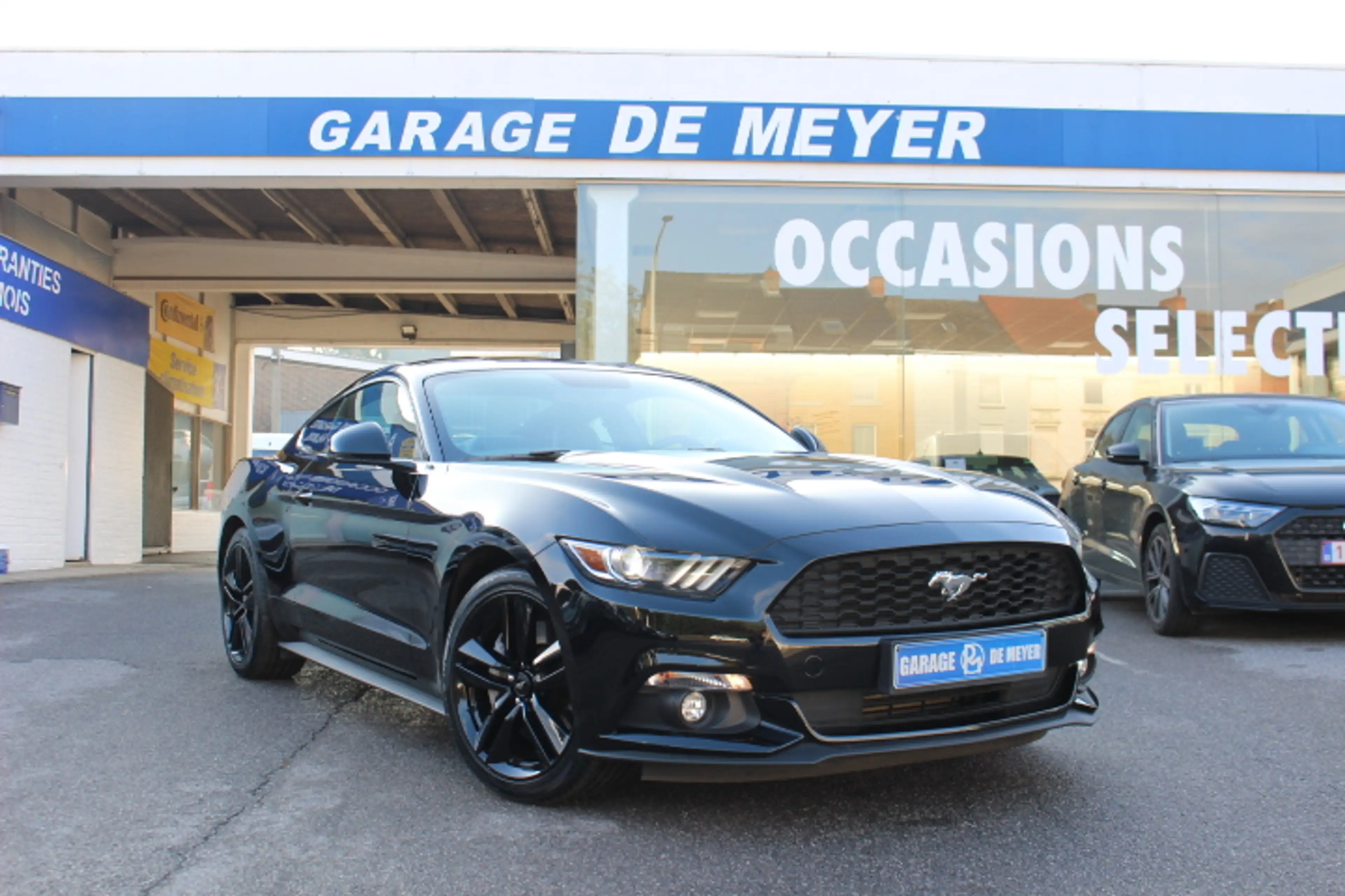 Ford Mustang Mustang 2.3 EcoBoost