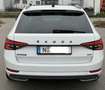 Skoda Superb Superb Combi 2.0 TDI 4x4 DSG Sportline Weiß - thumbnail 3