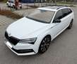 Skoda Superb Superb Combi 2.0 TDI 4x4 DSG Sportline Weiß - thumbnail 5