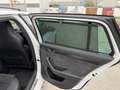 Skoda Superb Superb Combi 2.0 TDI 4x4 DSG Sportline Weiß - thumbnail 18