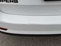 Skoda Superb Superb Combi 2.0 TDI 4x4 DSG Sportline Weiß - thumbnail 19