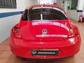 Volkswagen Beetle 1.6TDI Design 105 Rojo - thumbnail 25