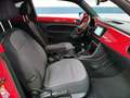 Volkswagen Beetle 1.6TDI Design 105 Rojo - thumbnail 11