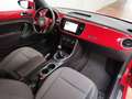 Volkswagen Beetle 1.6TDI Design 105 Rojo - thumbnail 10