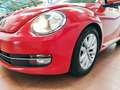 Volkswagen Beetle 1.6TDI Design 105 Rojo - thumbnail 17