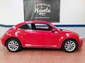 Volkswagen Beetle 1.6TDI Design 105 Rojo - thumbnail 26