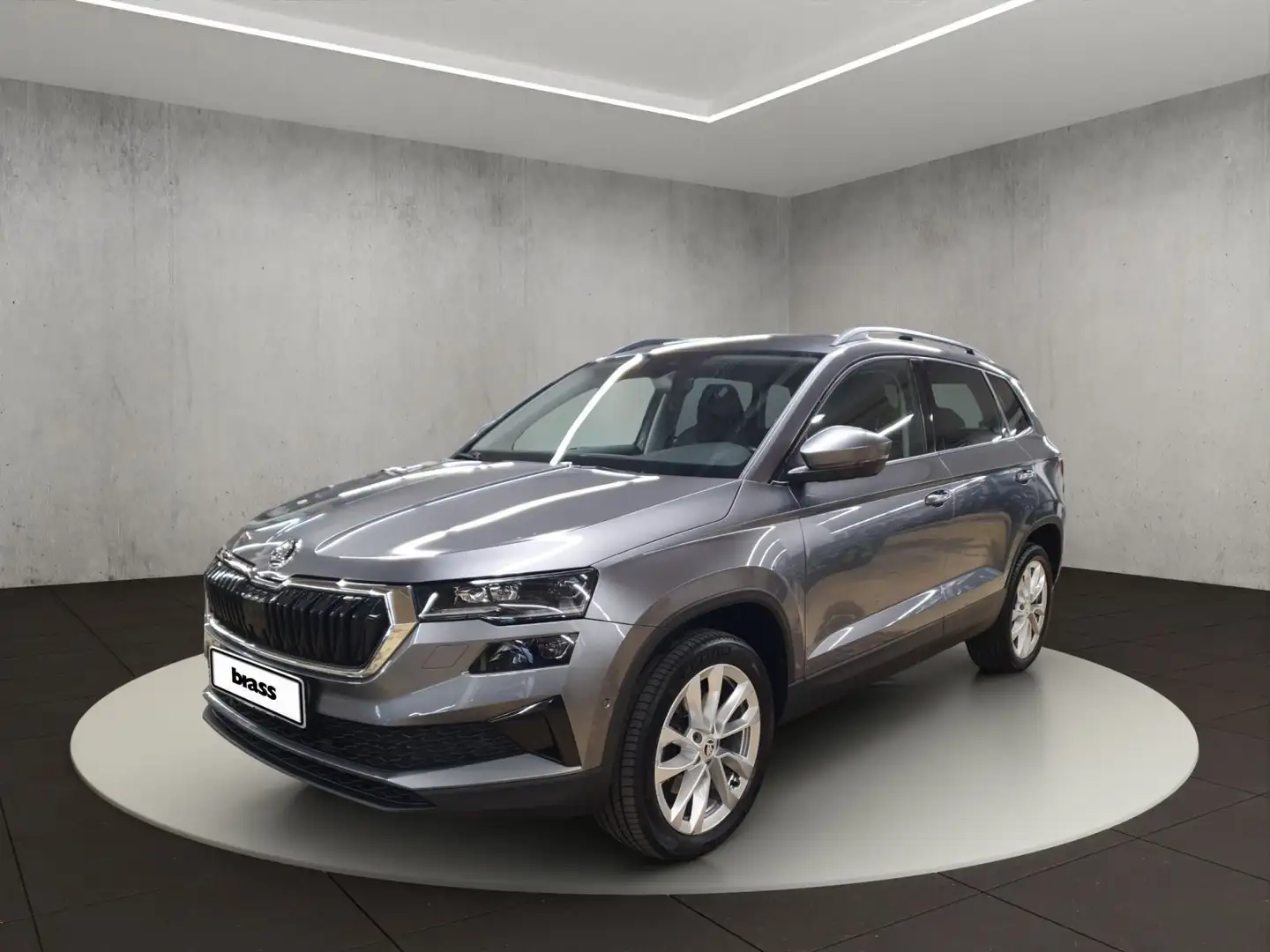 Skoda Karoq Style Grau - 1