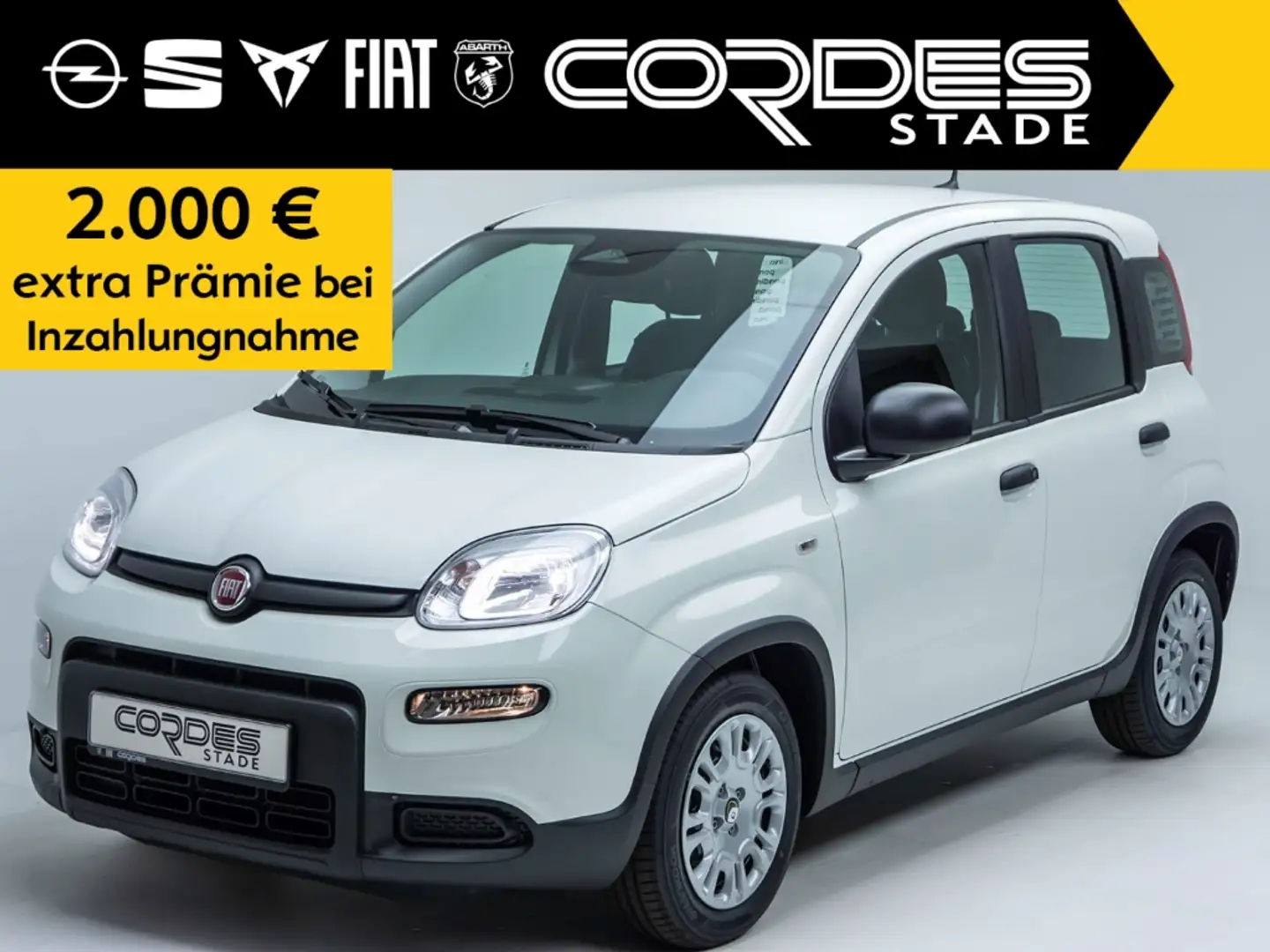 Fiat Panda Pandina City Paket, Sonderleasing 99 € bei Inzahlu Weiß - 2