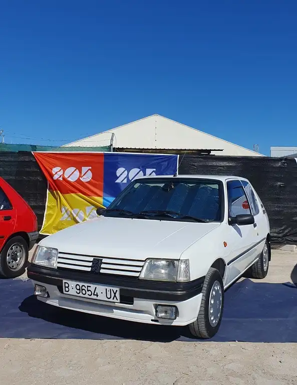 Peugeot 205 1998 из Европы — купить под ключ