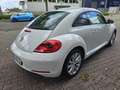 Volkswagen Beetle 1.2 TSI DESIGN BLUEMOTION Blanco - thumbnail 11