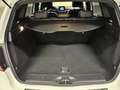 Mercedes-Benz B 180 d (cdi) Sport auto - thumbnail 20