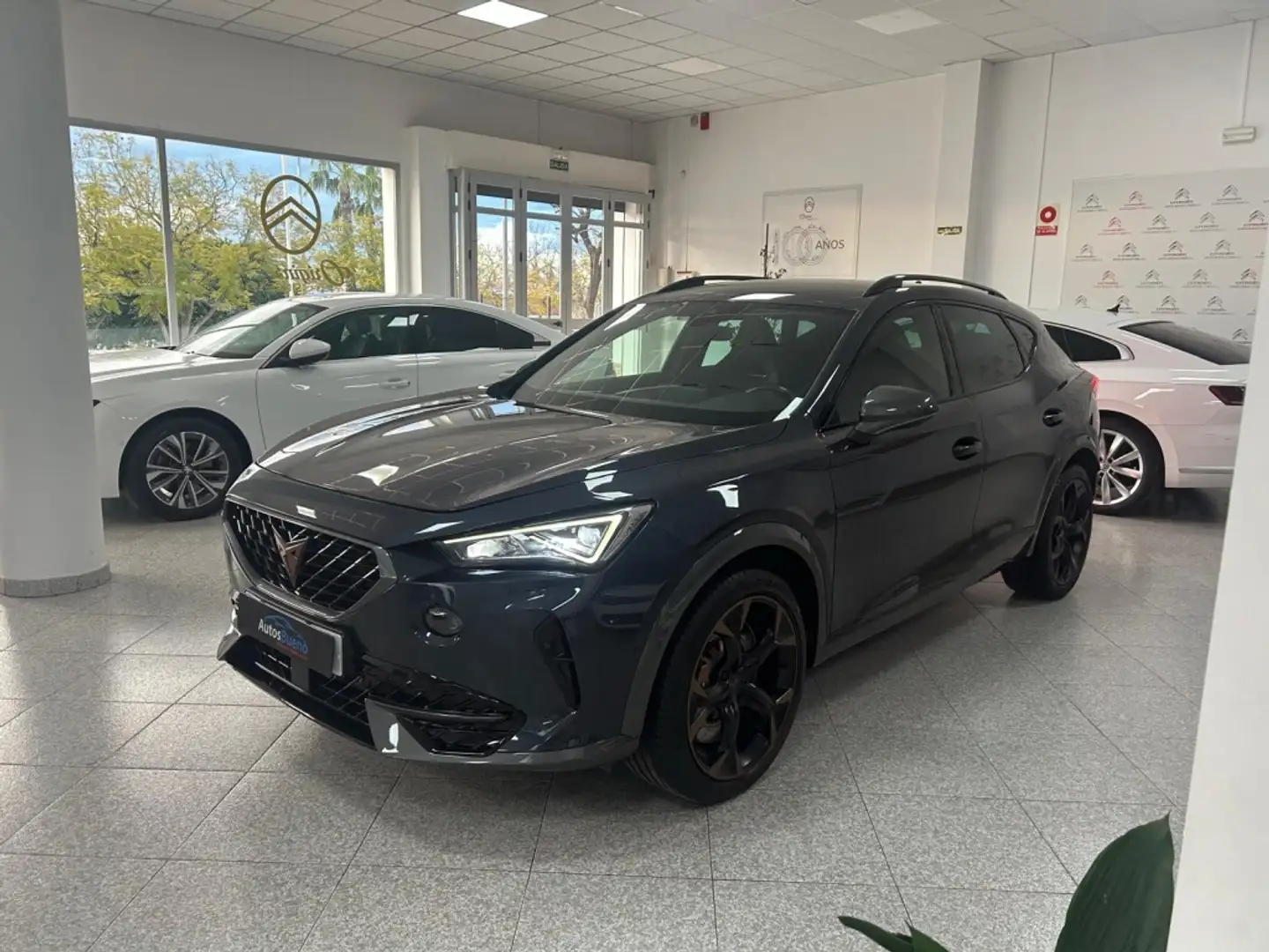CUPRA Formentor 2.0 TSI 310 VZ DSG 4Drive Gris - 1
