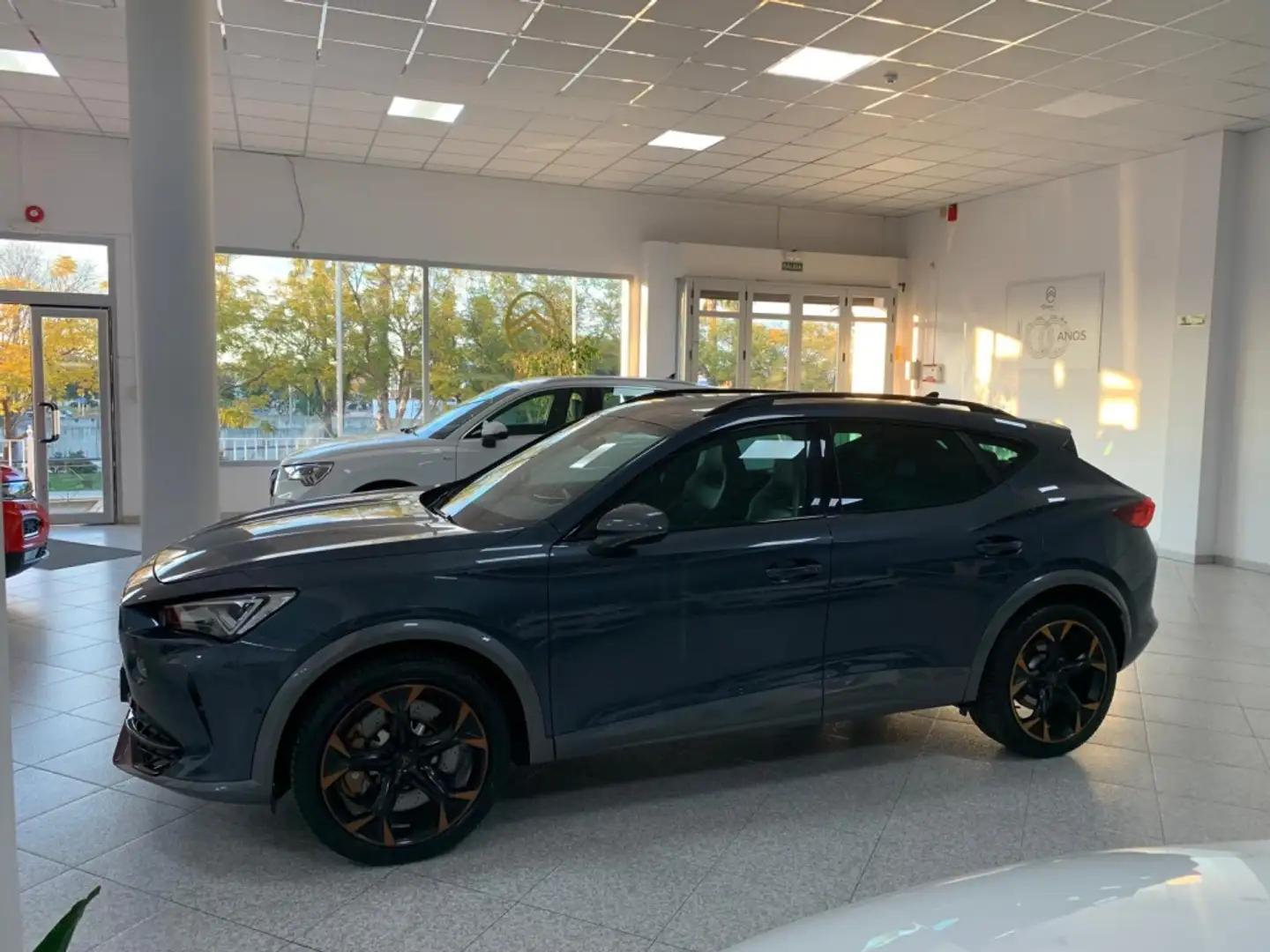 CUPRA Formentor 2.0 TSI 310 VZ DSG 4Drive Gris - 2