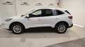 Ford Kuga 1.5TDCi Auto S&S Titanium 4x2 120 Blanco - thumbnail 11