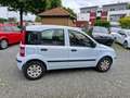 Fiat Panda 1.2 Dynamic  keine Klimaanlage Weiß - thumbnail 4