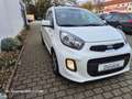 Kia Picanto Dream Team Blanc - thumbnail 2