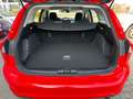 Ford Focus 1.0 EcoBoost*TüV Neu!*NAVI*KLIMA*PDC*TEMPO* Rot - thumbnail 4