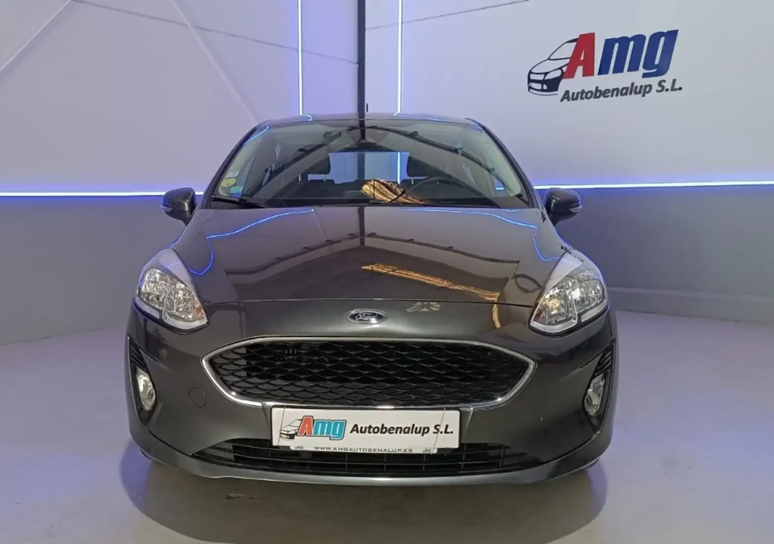 Ford Fiesta 1.5TDCi Active 85 Gris - 2