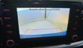 Ford Fiesta 1.5TDCi Active 85 Gris - thumbnail 12
