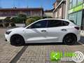 Ford Focus 1.0 EcoBoost Start&Stop ST Line GARANZIA INCLUSA Bianco - thumbnail 15