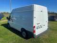 Ford Transit Ford Transit 2.2 dci tetto alto passo corto Bianco - thumbnail 11