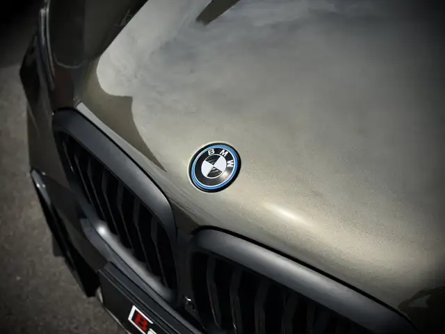 BMW X5 X5 view 3