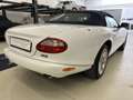 Jaguar XK8 XK8 Cabrio - thumbnail 23
