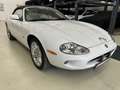 Jaguar XK8 XK8 Cabrio - thumbnail 21
