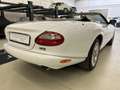 Jaguar XK8 XK8 Cabrio - thumbnail 6