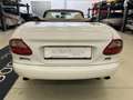 Jaguar XK8 XK8 Cabrio - thumbnail 7