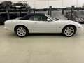 Jaguar XK8 XK8 Cabrio - thumbnail 22