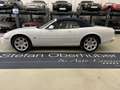 Jaguar XK8 XK8 Cabrio - thumbnail 26
