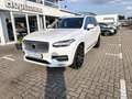 Volvo XC90 B5 Diesel AWD Aut. Plus Bright 7 Sitze Blanc - thumbnail 1