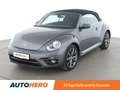 Volkswagen Beetle 1.4 TSI Design M Aut.*APP*TEMPO*PDC* Grau - thumbnail 1