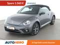 Volkswagen Beetle 1.4 TSI Design M Aut.*APP*TEMPO*PDC* Grau - thumbnail 1