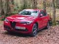Alfa Romeo Stelvio Stelvio 2,2 ATX AWD Rot - thumbnail 3