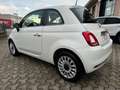 Fiat 500 1.0 Hybrid Dolcevita Bianco - thumbnail 2