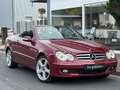 Mercedes-Benz CLK 320 CDI Cabrio Aut. *1.Hand*Scheckheft*Navi Rot - thumbnail 2