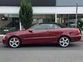 Mercedes-Benz CLK 320 CDI Cabrio Aut. *1.Hand*Scheckheft*Navi Rot - thumbnail 6