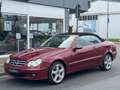 Mercedes-Benz CLK 320 CDI Cabrio Aut. *1.Hand*Scheckheft*Navi Rot - thumbnail 3