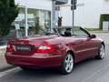 Mercedes-Benz CLK 320 CDI Cabrio Aut. *1.Hand*Scheckheft*Navi Rot - thumbnail 7