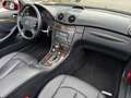 Mercedes-Benz CLK 320 CDI Cabrio Aut. *1.Hand*Scheckheft*Navi Roşu - thumbnail 11