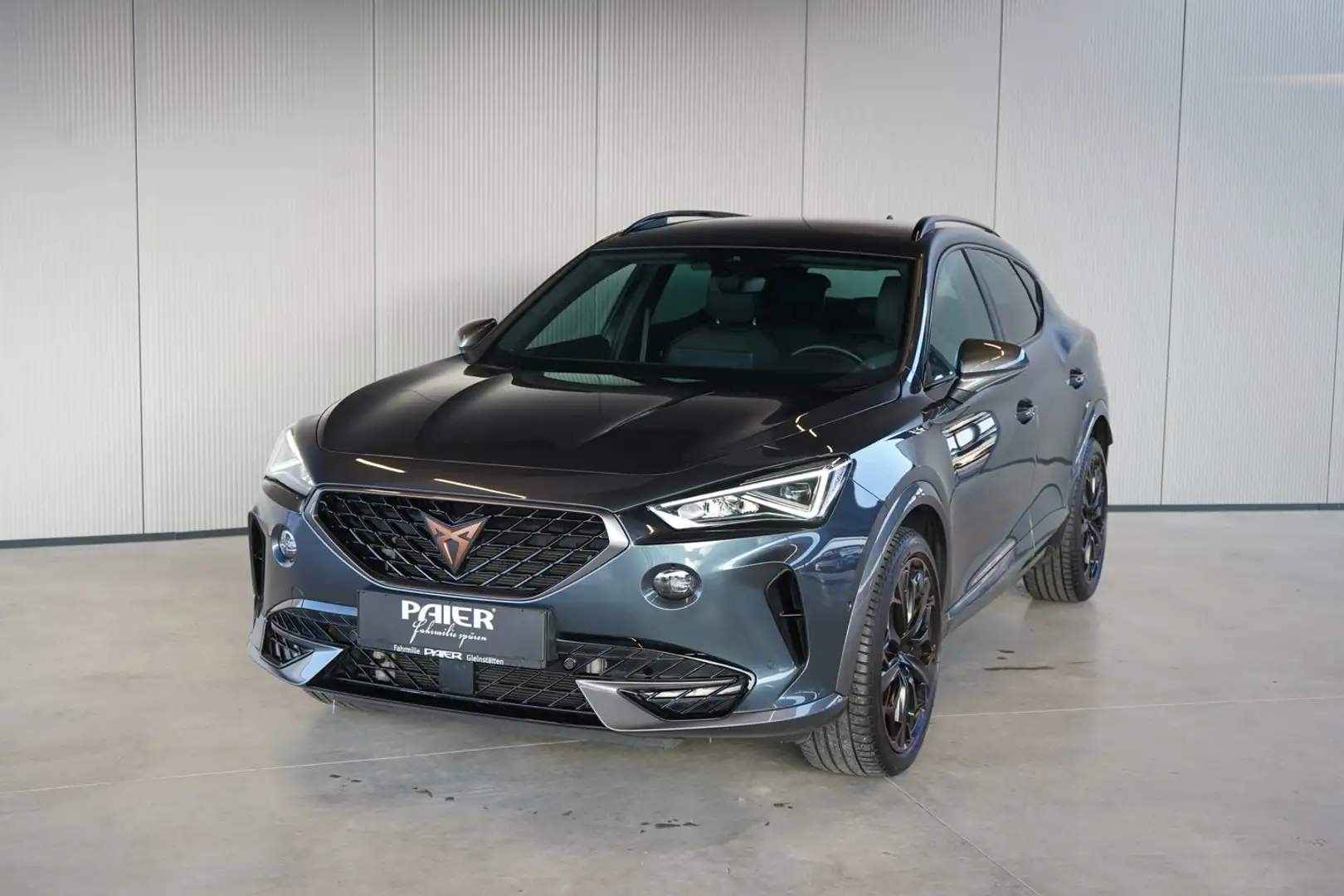 CUPRA Formentor 2.0 TDI 150 PS Grau - 2